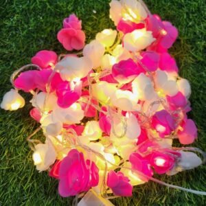 Rose Fairy Light with 80 Rose Flowers for Room and Party Decoration