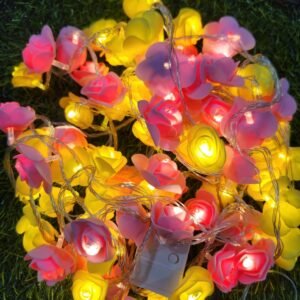Rose Fairy Light with 80 Rose Flowers for Room and Party Decoration